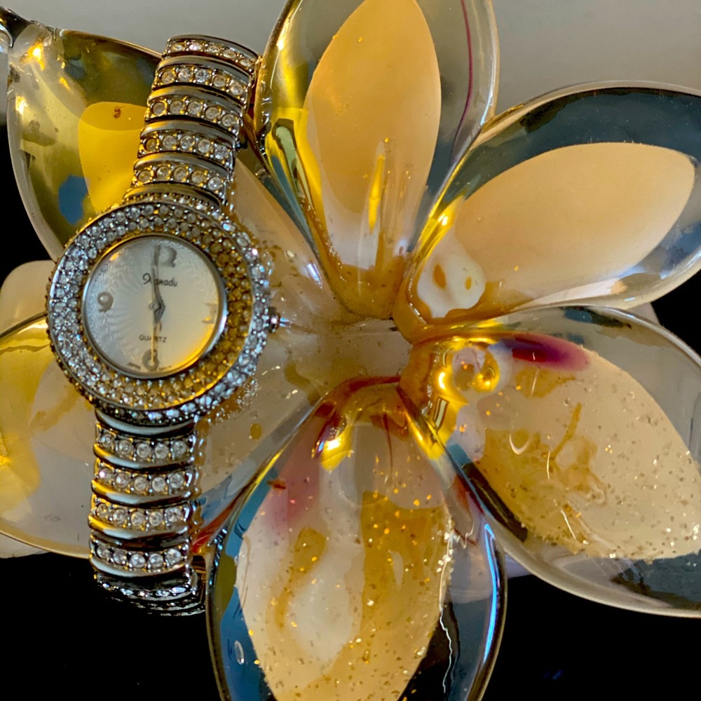 Zanadu Silver Blinged Watch